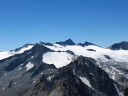 26 La vetta dell Adamello